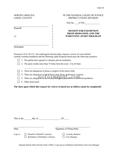 Fill in Your North Carolina 21 Template