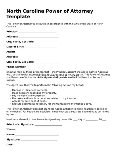 Free  Power of Attorney Document for North Carolina