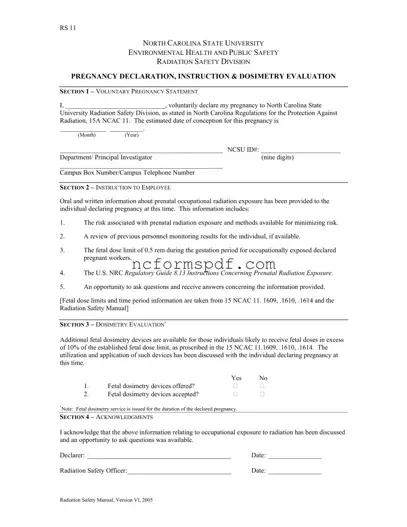 Fill in Your North Carolina Rs 11 Template
